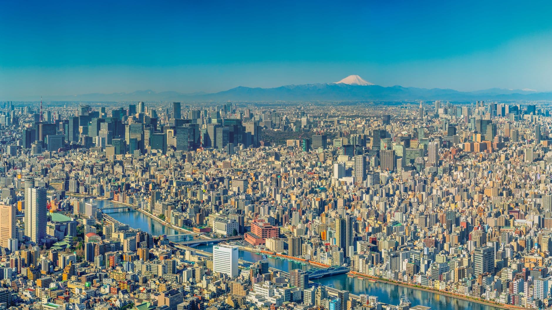 Tokyo Japan cityscape with neon lights and modern architecture