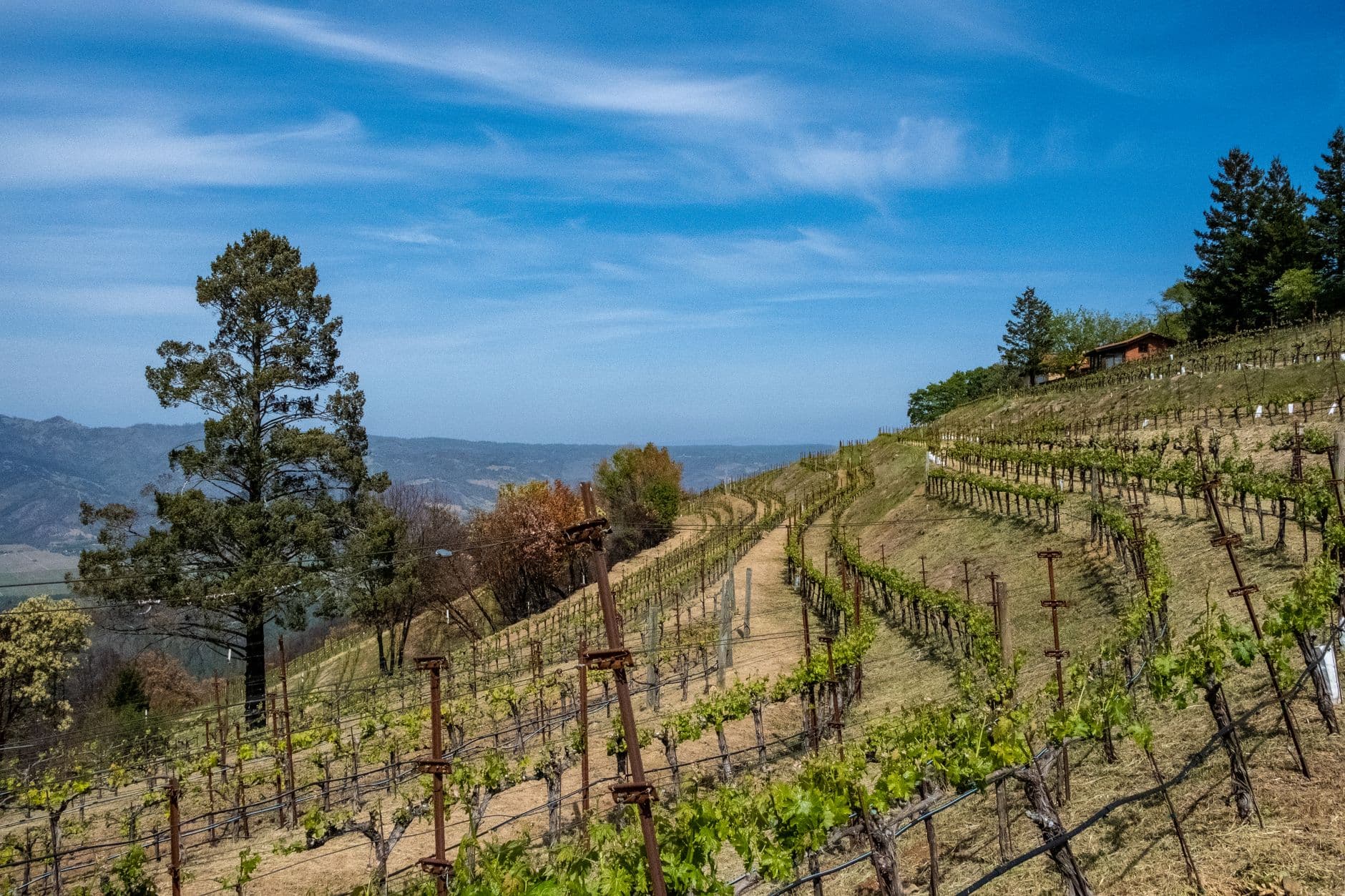 Napa Valley travel destination