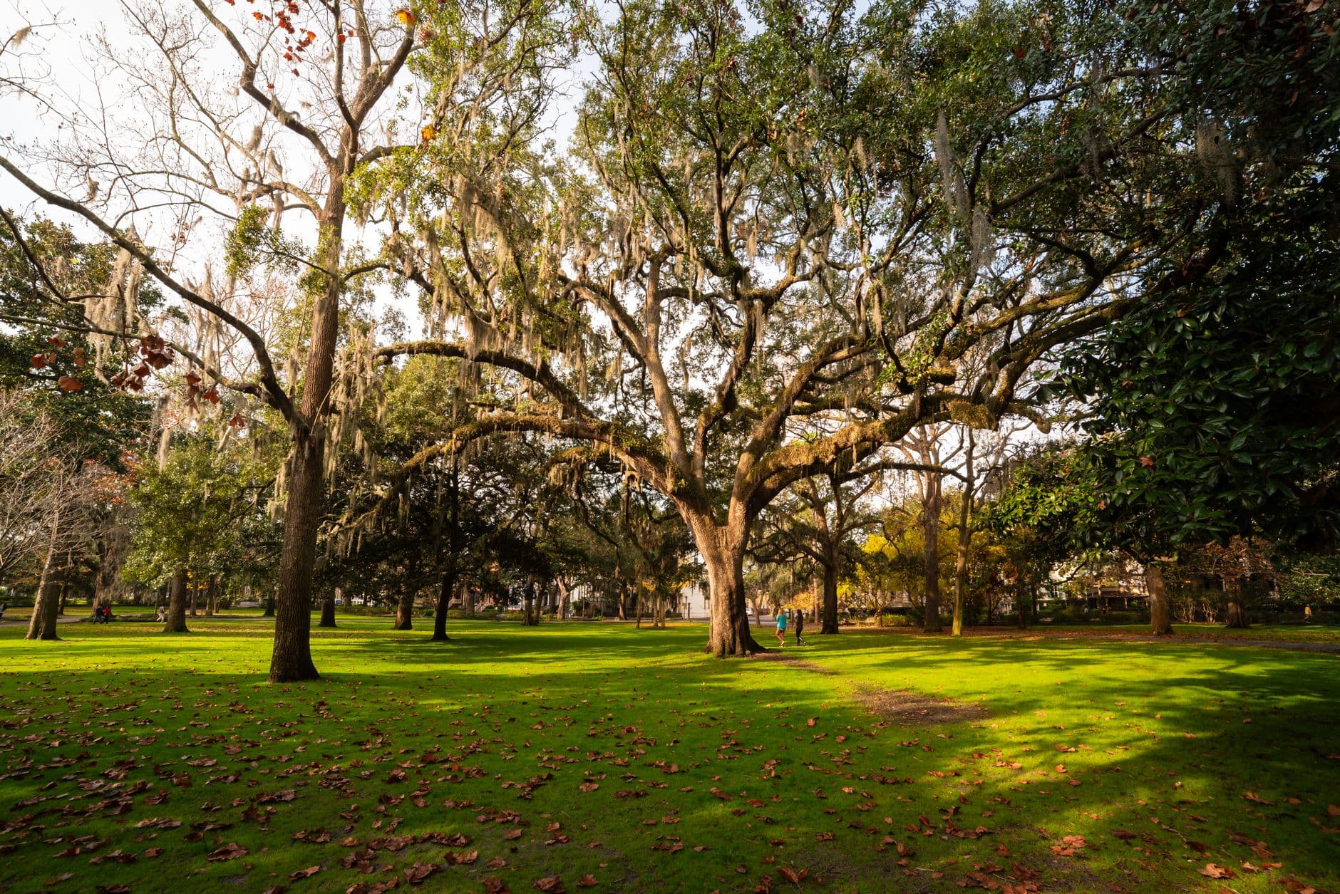 Savannah travel destination