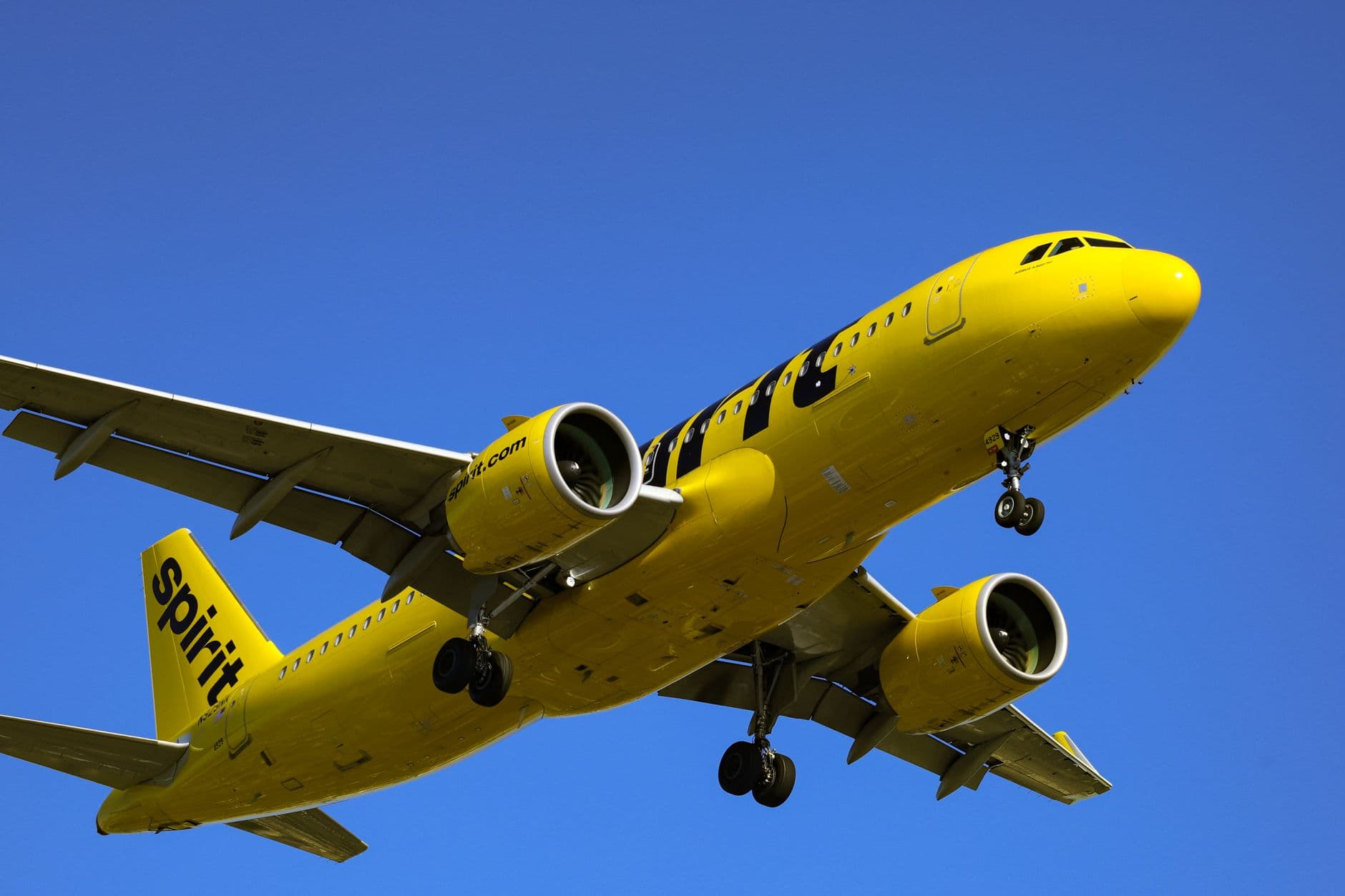 Spirit Airlines aircraft with yellow livery at airport terminal