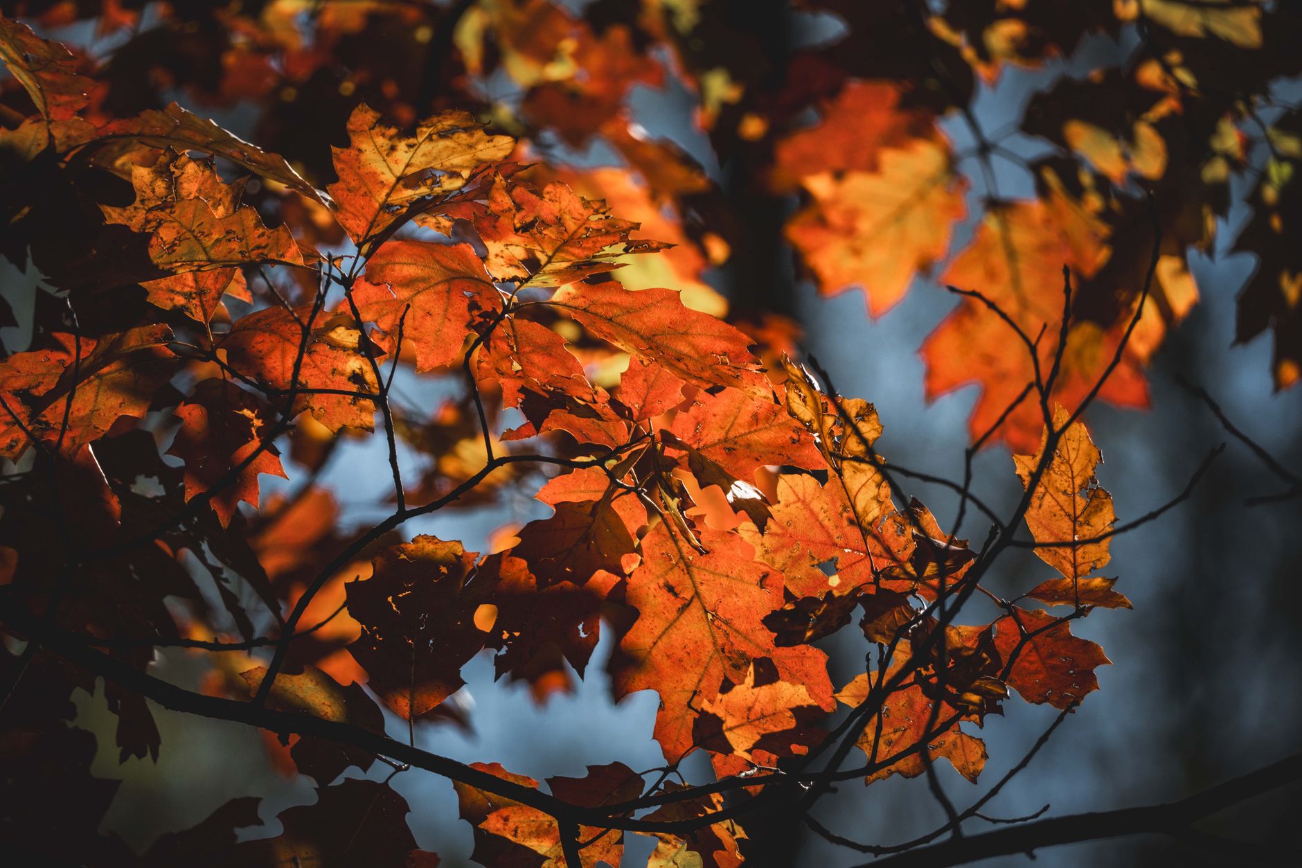 Autumn foliage on a quiet fall travel weekend